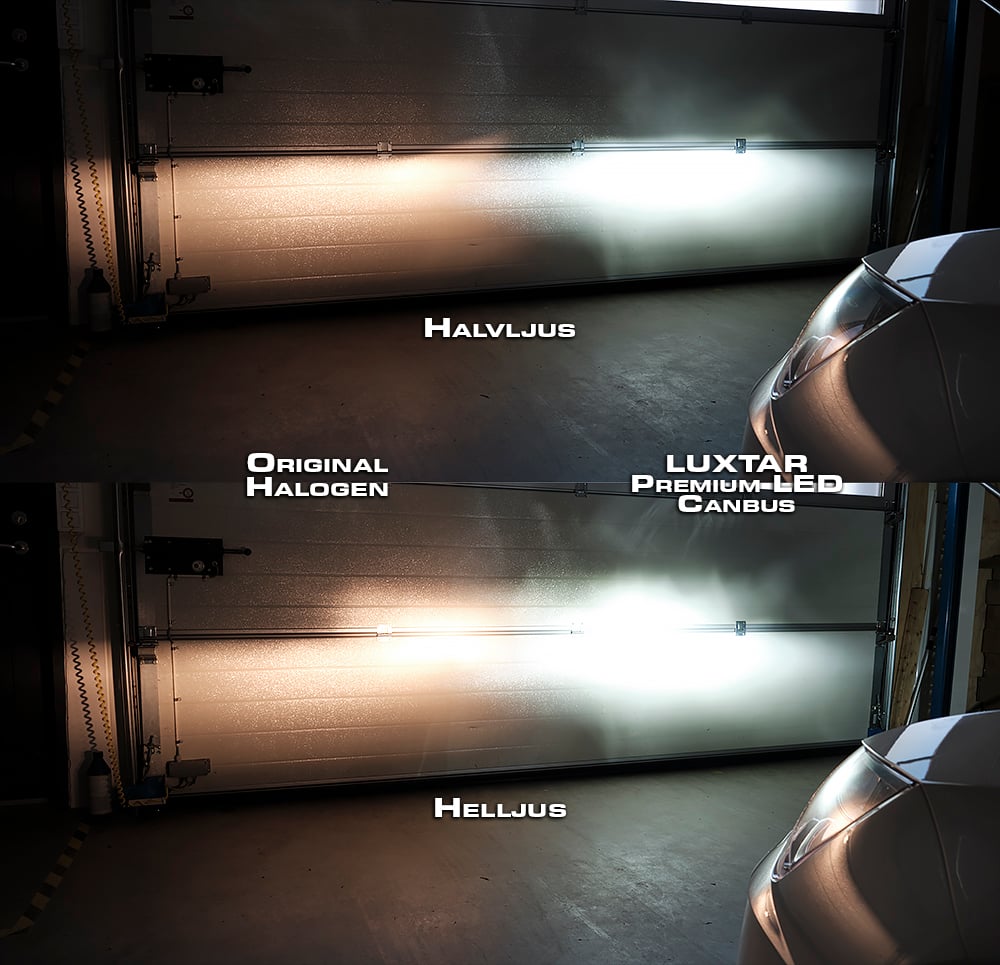 LUXTAR® Premium Canbus H9 LED