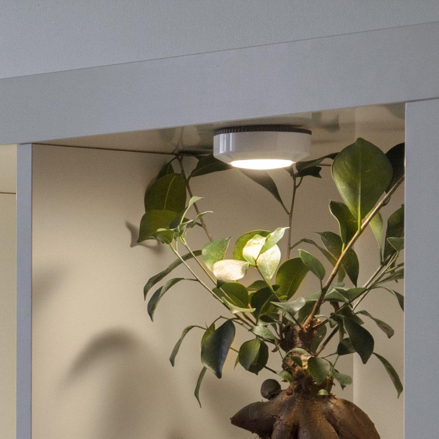 nattlampa-led-functional-357-29