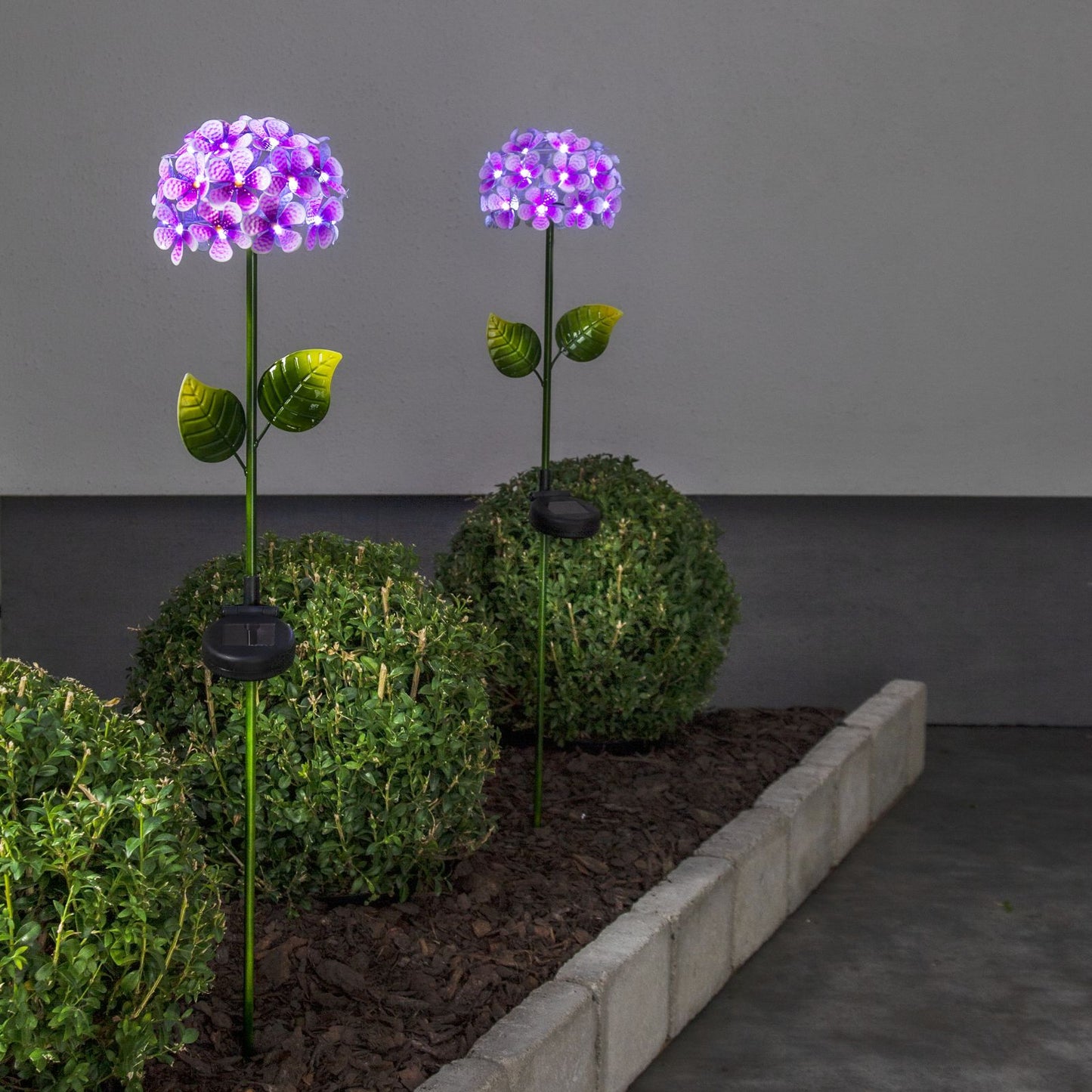 solcellspinne-hortensia-481-57