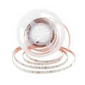 LED-Strip (5 meter) 4.8W/M Varmvit IP20 12V